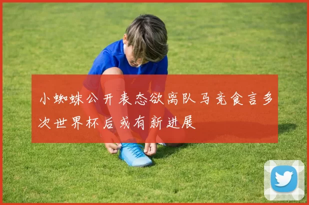 小蜘蛛公开表态欲离队马竞食言多次世界杯后或有新进展