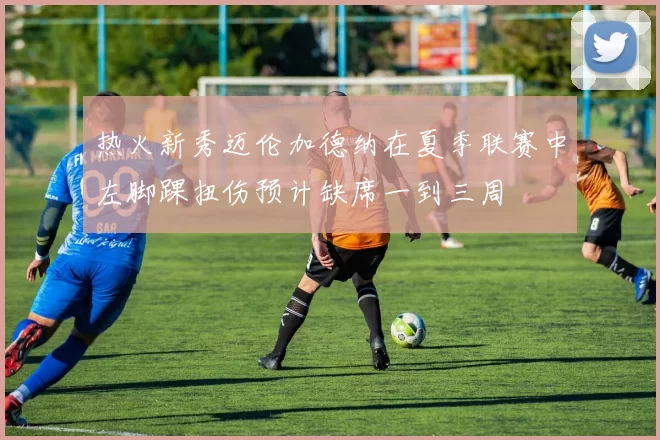 热火新秀迈伦加德纳在夏季联赛中左脚踝扭伤预计缺席一到三周