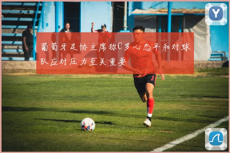 葡萄牙足协主席称C罗心态平和对球队应对压力至关重要